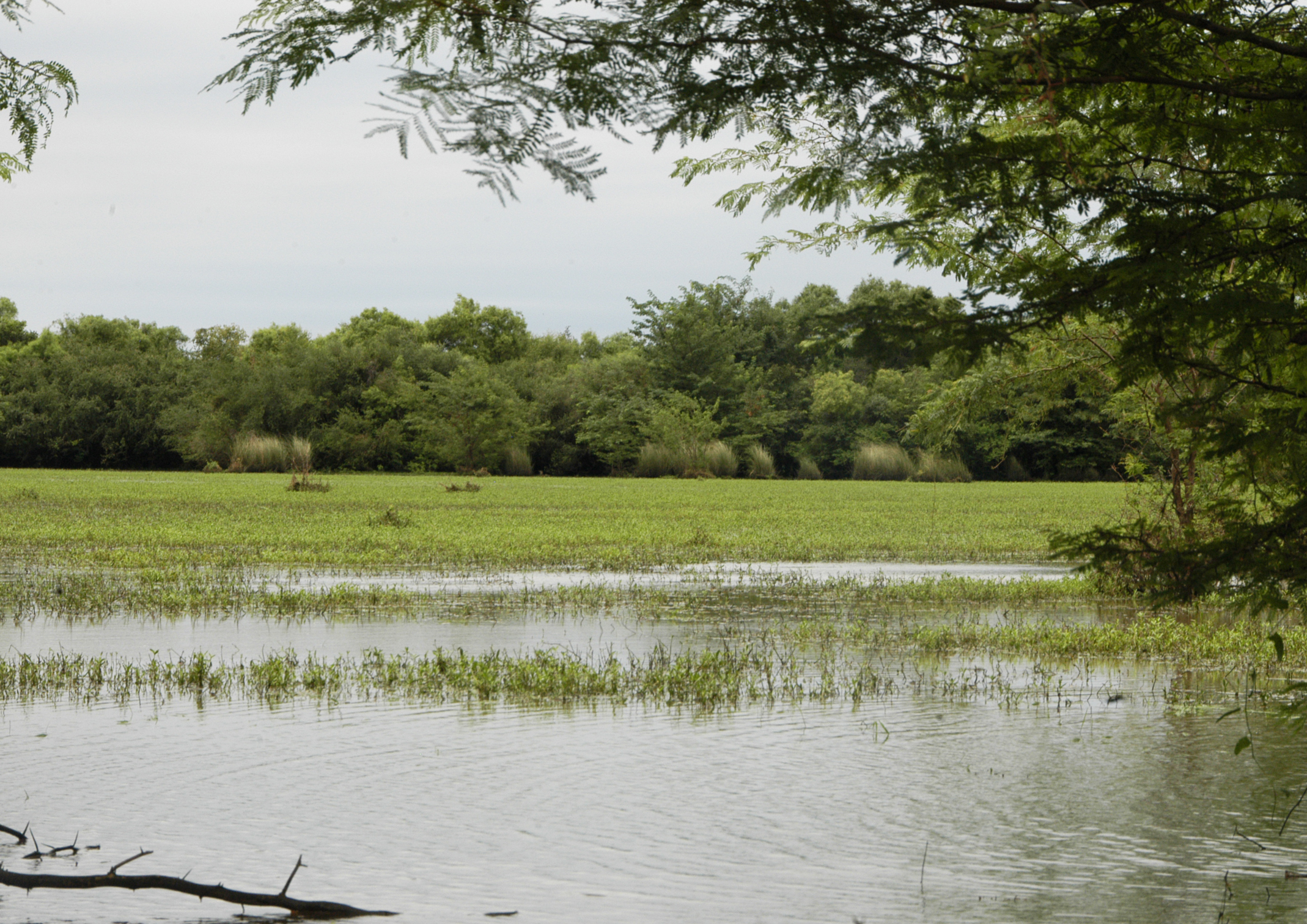 Efice se suma al proyecto “Tierra de Humedales”