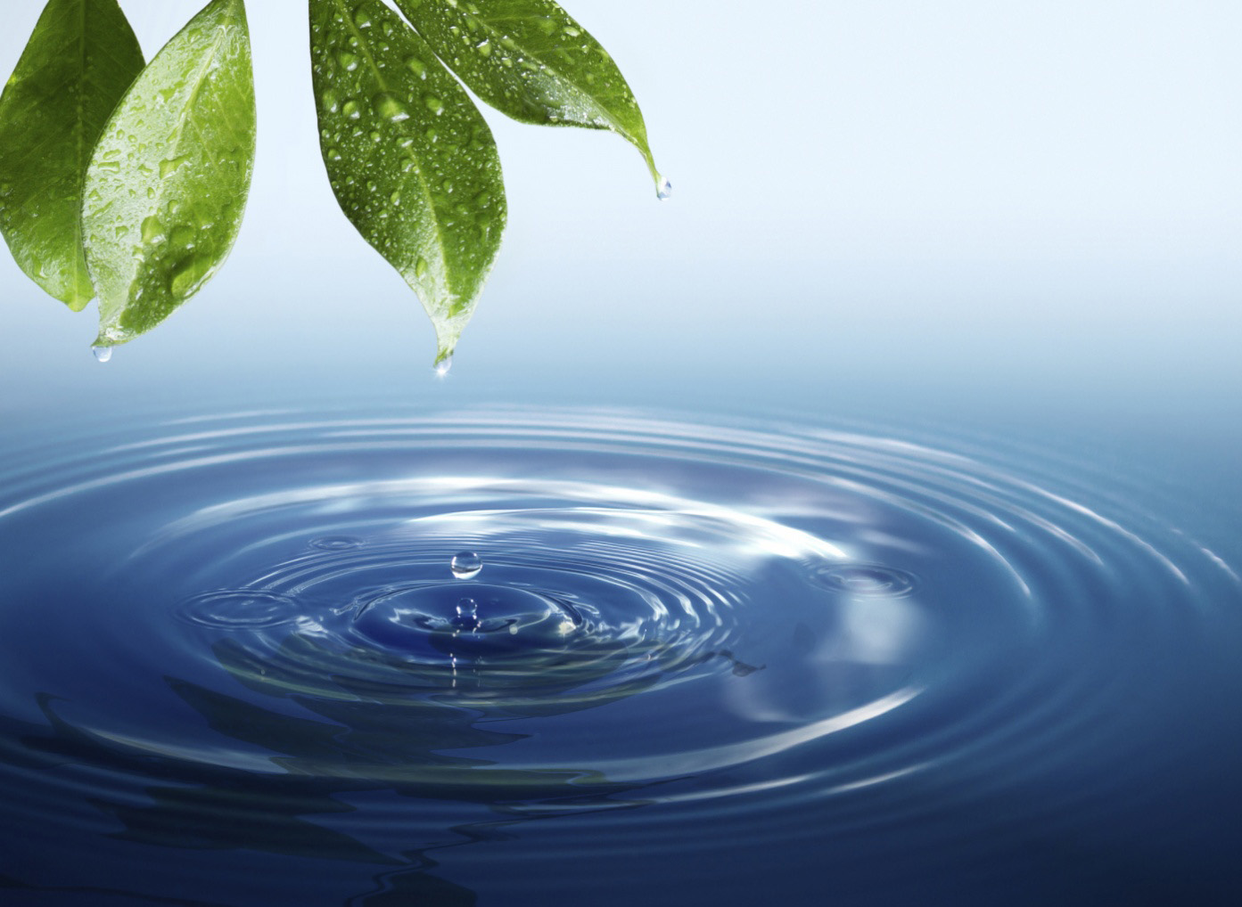 EFICE es socio fundador del Centro Tecnológico de Aguas (CTA)