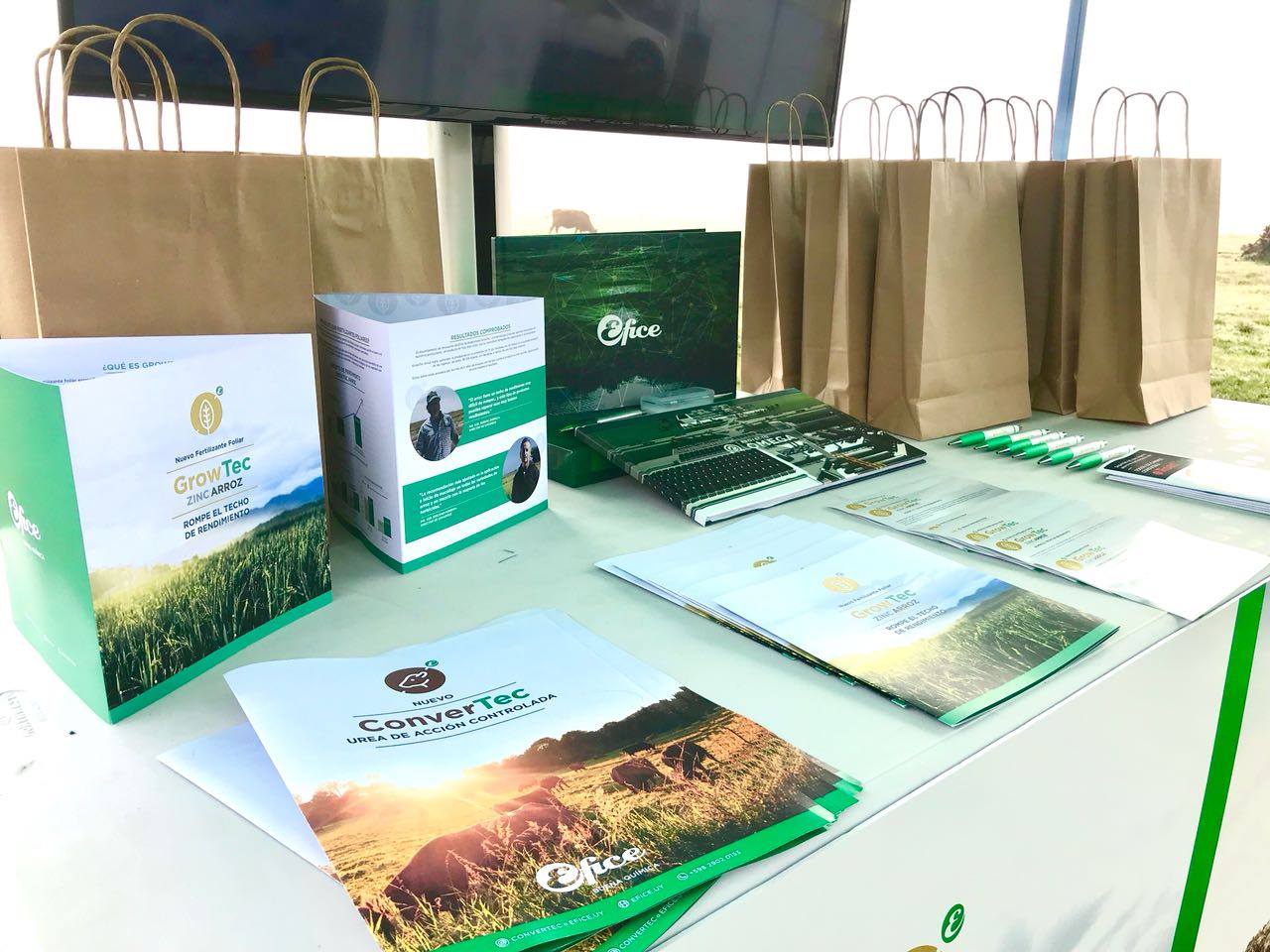 Efice presente en inauguración de la cosecha de arroz 2018